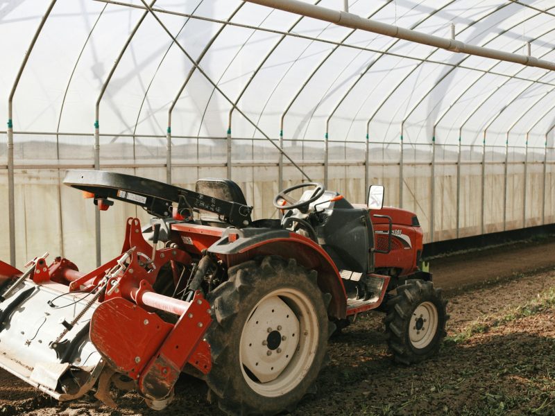 wei-Gwj5YHWGCZU-unsplash